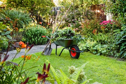 landscaping-services-maintenance Landscaping Services Perth